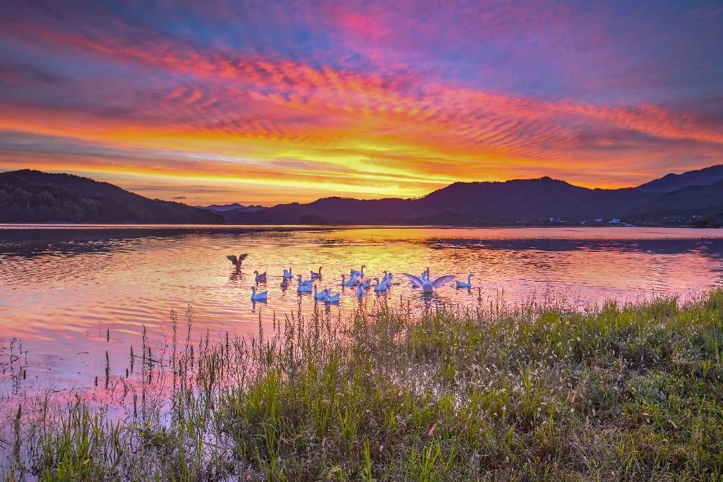 Daecheong Lake sunset