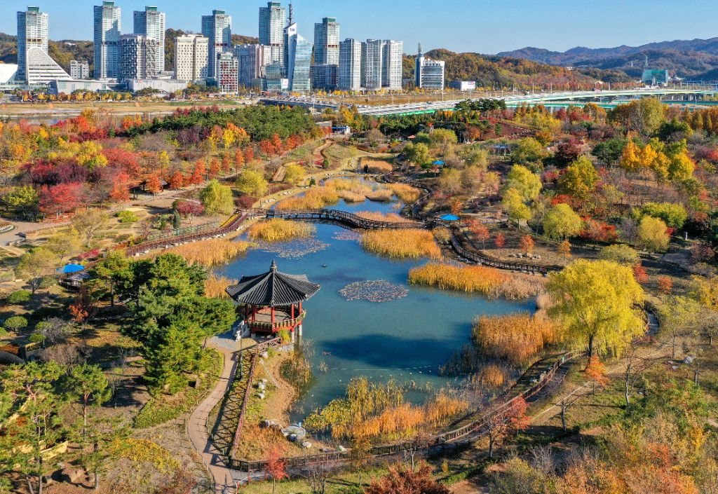 Hanbat Arboretum in autumn
